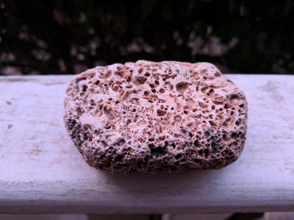 rock stone fossil texture rock stone fossil texture