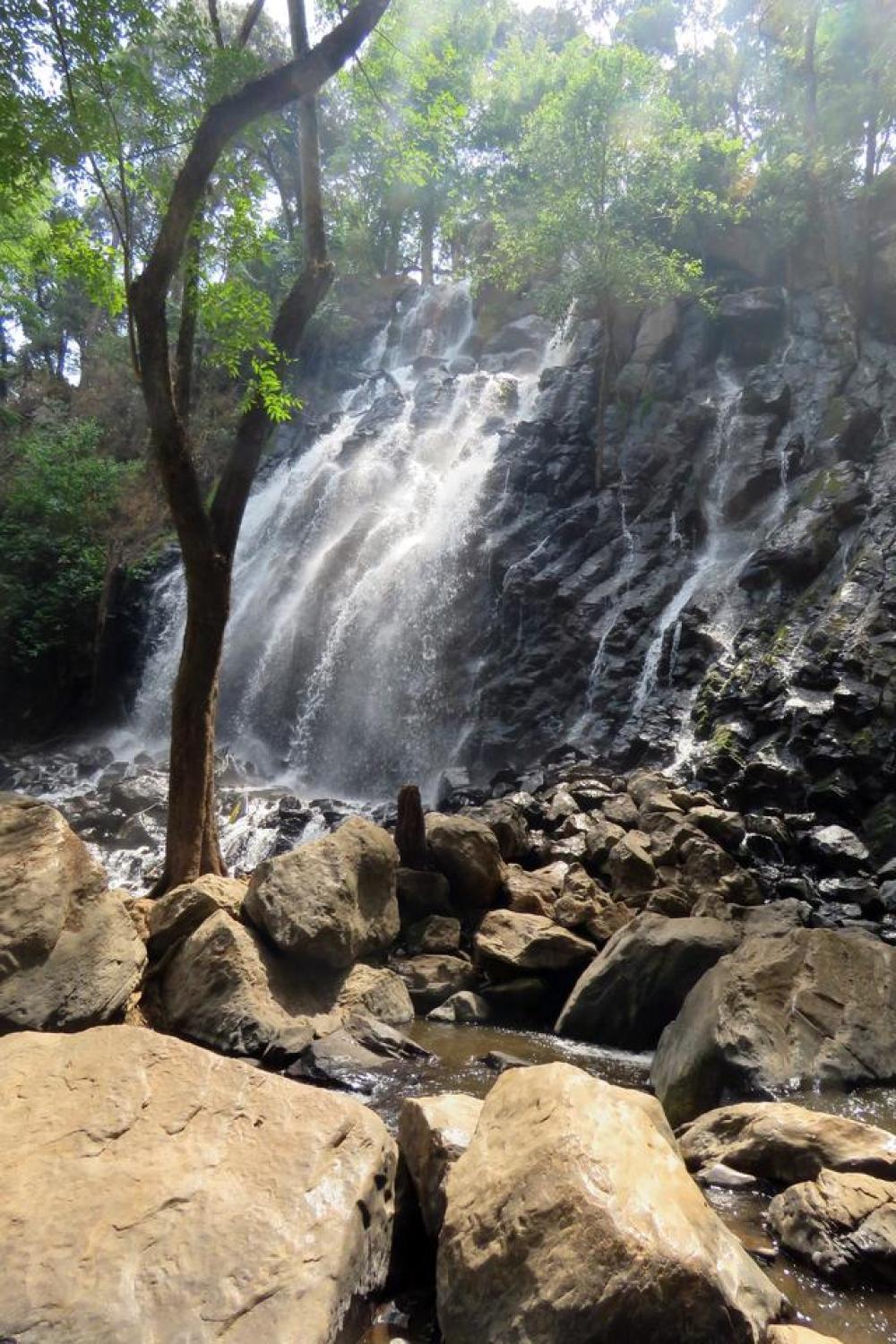 waterfall mexico water forest tree waterfall mexico water forest tree