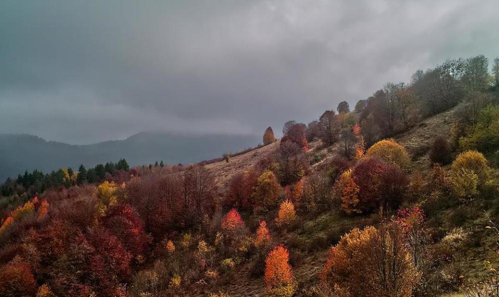 autumn mountain hiking palette nature autumn mountain hiking palette nature