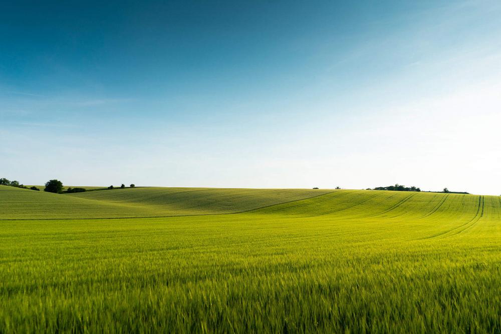 Beautiful Green Field Scenery Free Photo Beautiful Green Field Scenery Free Photo