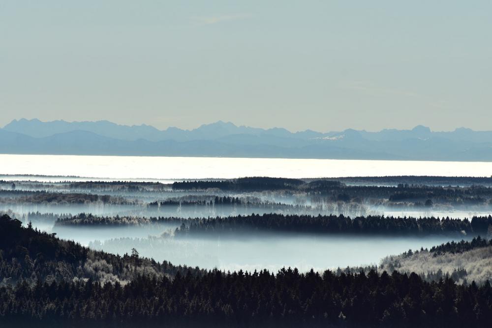 Alpen Ice Fog Landscape Nature Sky Mist Wintry Alpen Ice Fog Landscape Nature Sky Mist Wintry