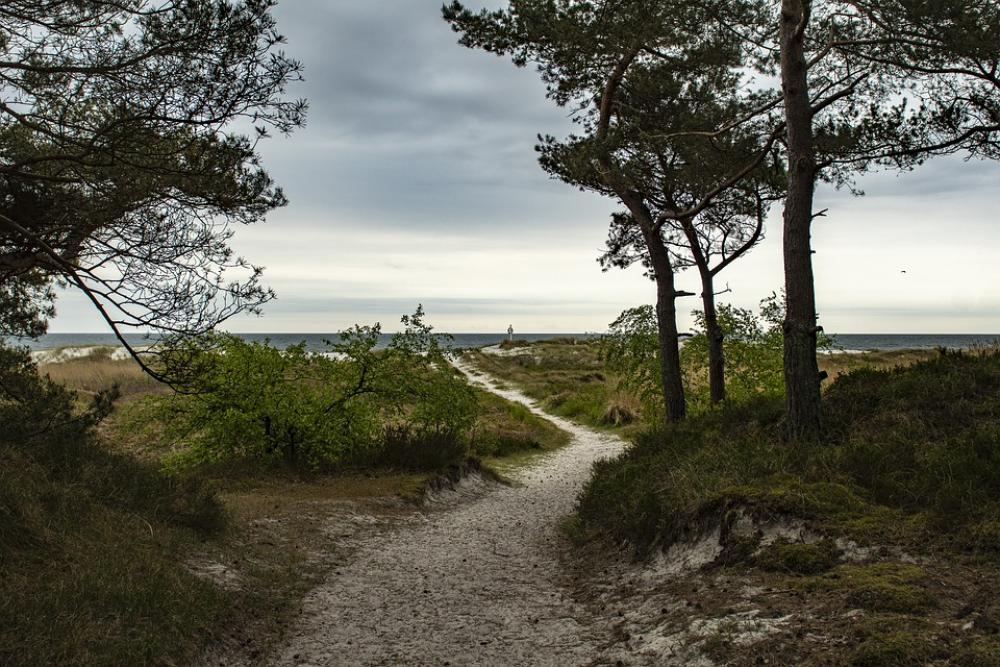 Beach Sea Summer Ocean Water Sand Landscape Beach Sea Summer Ocean Water Sand Landscape