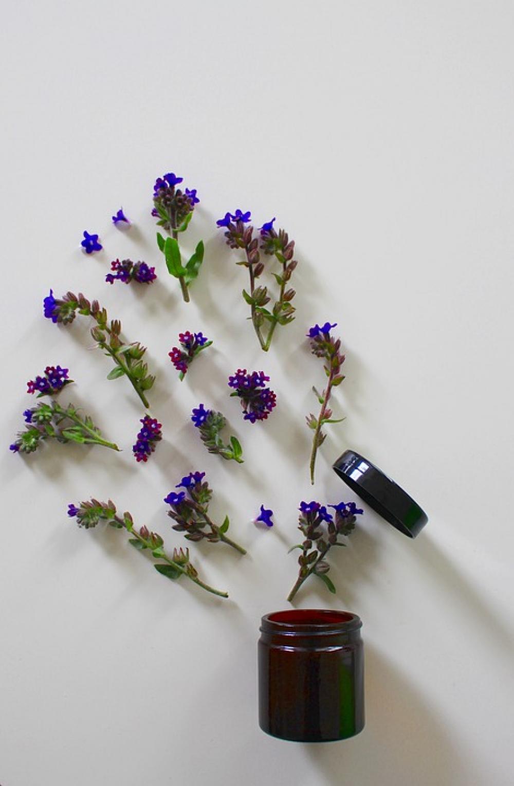 Blossom Bloom Flowers Cosmetics Natural Cosmetics Blossom Bloom Flowers Cosmetics Natural Cosmetics