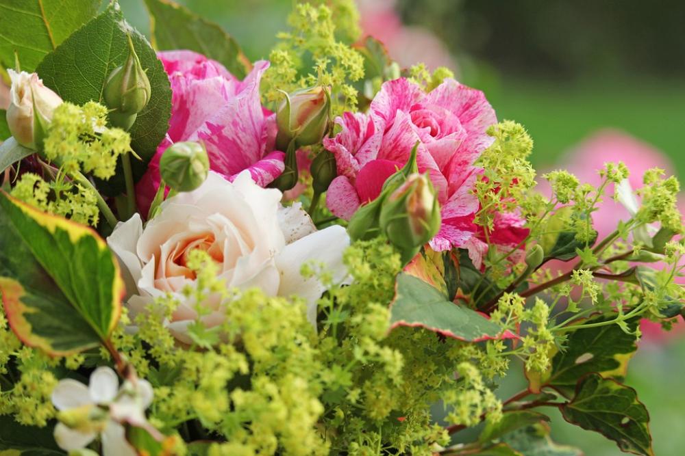 Bouquet Summer Bouquet Summer Flowers Garden Bouquet Summer Bouquet Summer Flowers Garden