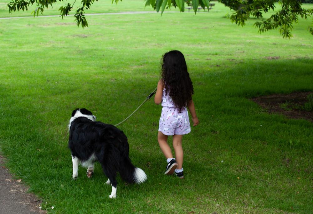 Child With Dog Child Dog Walking Child Dog Walking Child With Dog Child Dog Walking Child Dog Walking