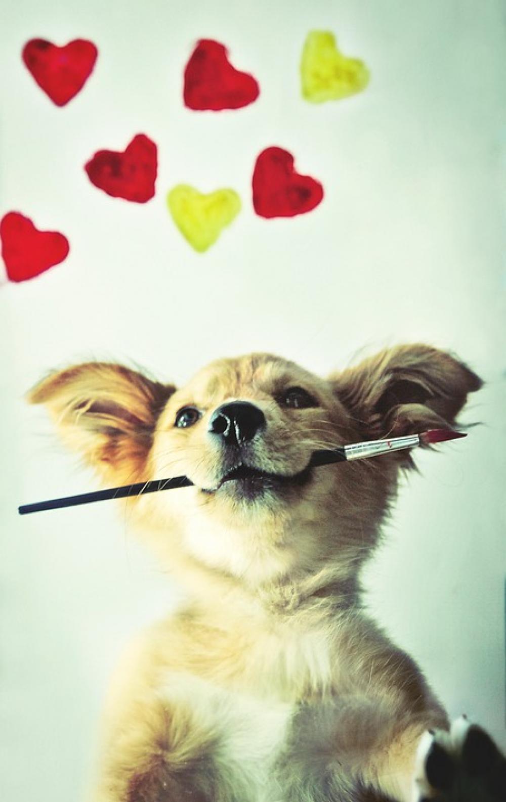 Dog Pet Puppy Animal Hearts Heart Painting Cute Dog Pet Puppy Animal Hearts Heart Painting Cute