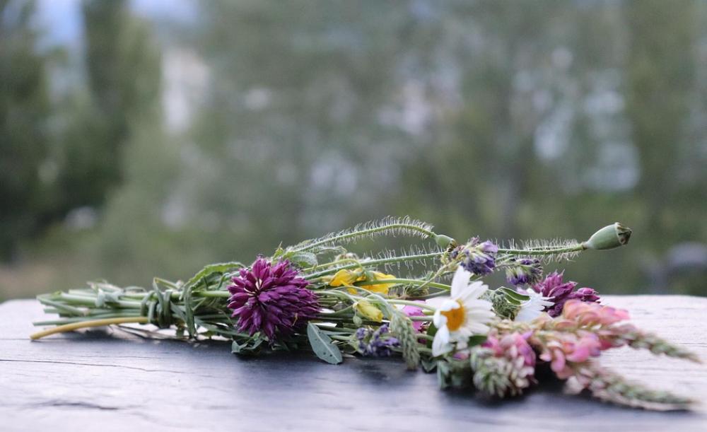 Flower Bouquet Field Flowers Stone Plate Wild Daisy Flower Bouquet Field Flowers Stone Plate Wild Daisy
