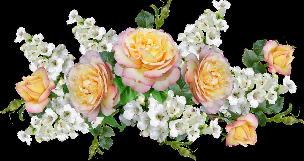 Flowers Arrangement Yellow Roses White Penstemons Flowers Arrangement Yellow Roses White Penstemons