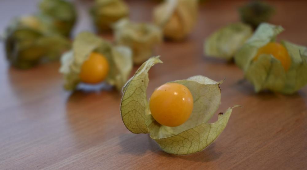 Gooseberry Physalis Healthy Fruit Berry Delicious Gooseberry Physalis Healthy Fruit Berry Delicious