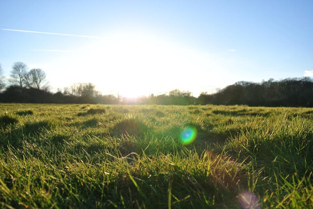 Landscape Sun Sunset Summer Field Atmosphere Landscape Sun Sunset Summer Field Atmosphere