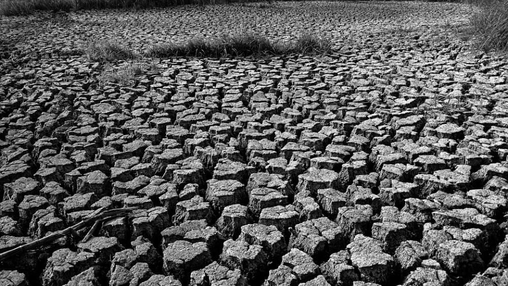 Landscape Black And White Earth No Water Landscape Black And White Earth No Water