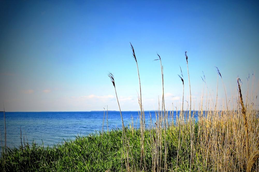 Landscape Sea Baltic Sea Water Beach Grasses Landscape Sea Baltic Sea Water Beach Grasses