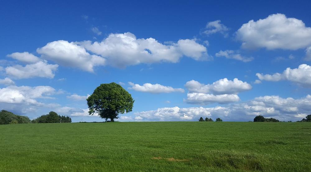 Landscape Sky Clouds Tree Atmosphere Hill Scenic Landscape Sky Clouds Tree Atmosphere Hill Scenic