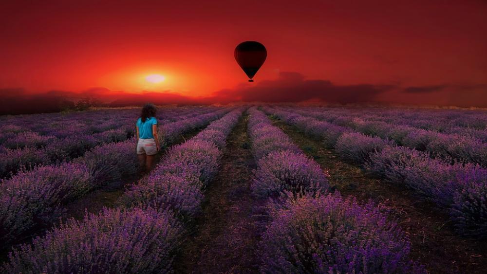 Lavender Girl Nature Alone Happy Kids Summer Lavender Girl Nature Alone Happy Kids Summer