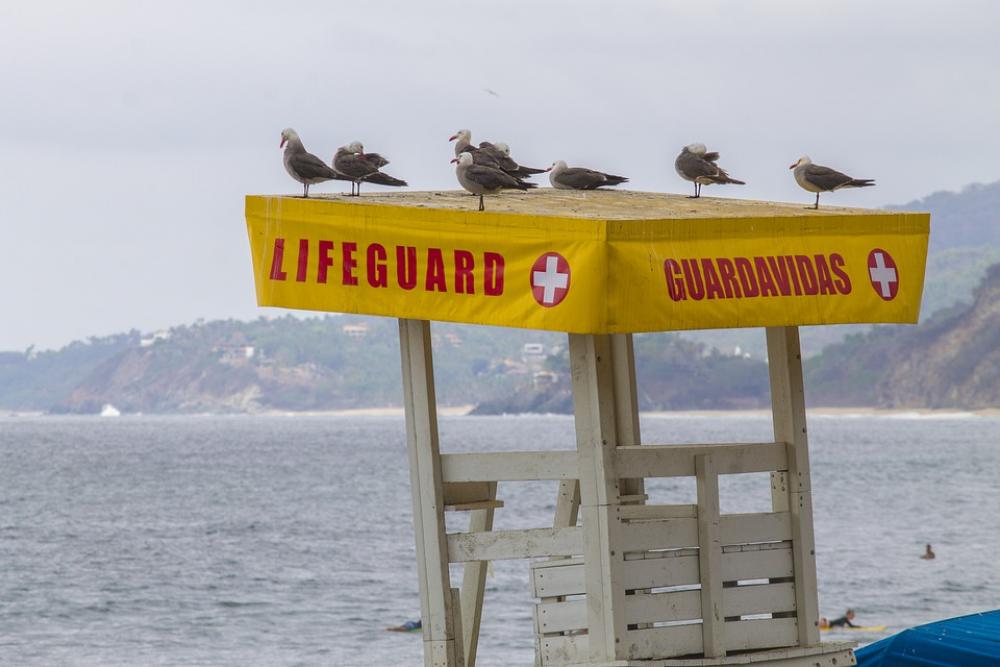 Life Guard Seagulls Beach Sea Seagull Nature Ave Life Guard Seagulls Beach Sea Seagull Nature Ave