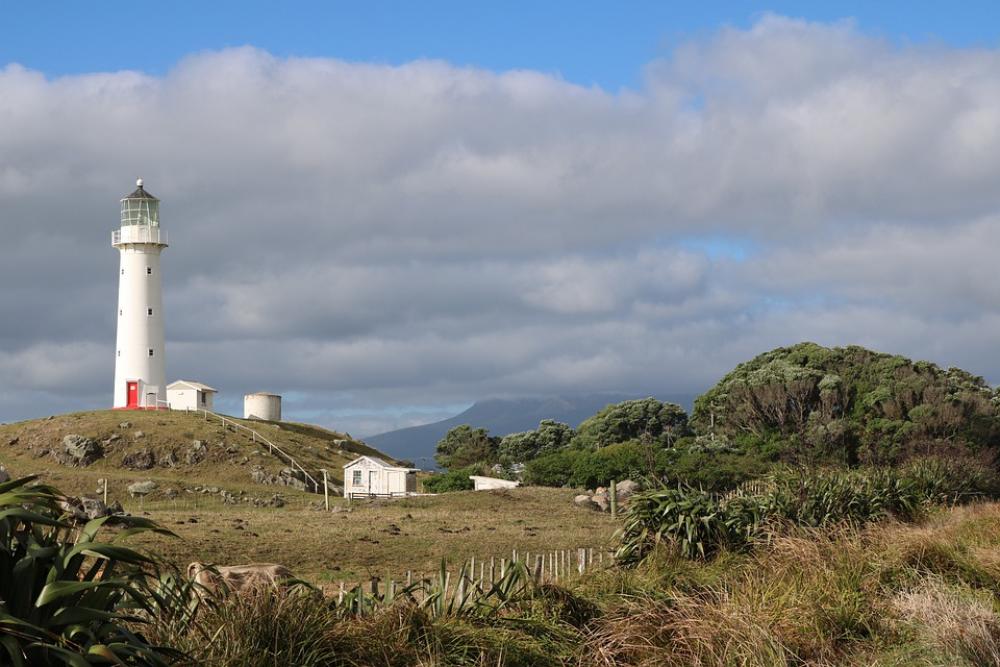 Lighthouse Farm Hill Trees Taranaki New Zealand Lighthouse Farm Hill Trees Taranaki New Zealand