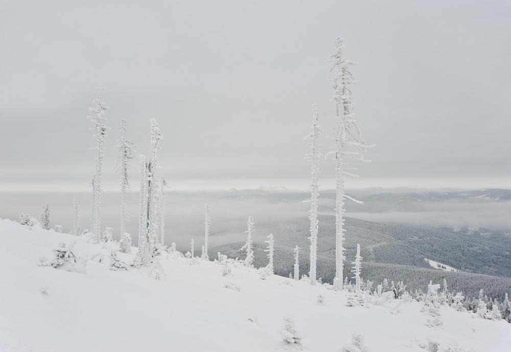 Mountains Winter Frost Landscape Snow Trees White Mountains Winter Frost Landscape Snow Trees White