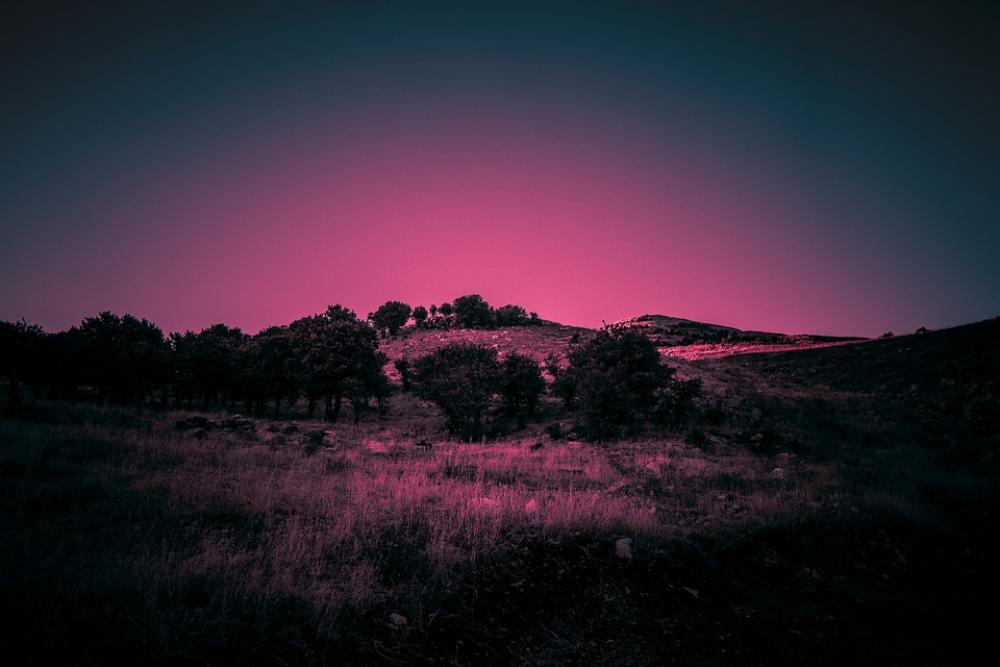 Nature Landscape Forest Trees Mountains Hills Nature Landscape Forest Trees Mountains Hills