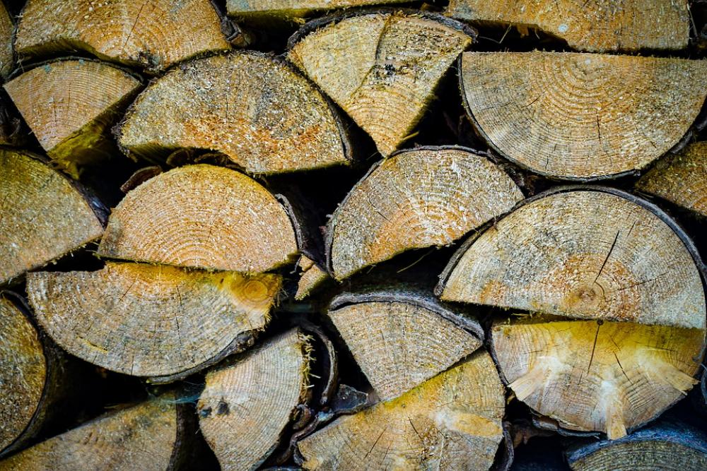 Pile Of Wood Firewood Woods Log Hacked Sawn Pile Of Wood Firewood Woods Log Hacked Sawn
