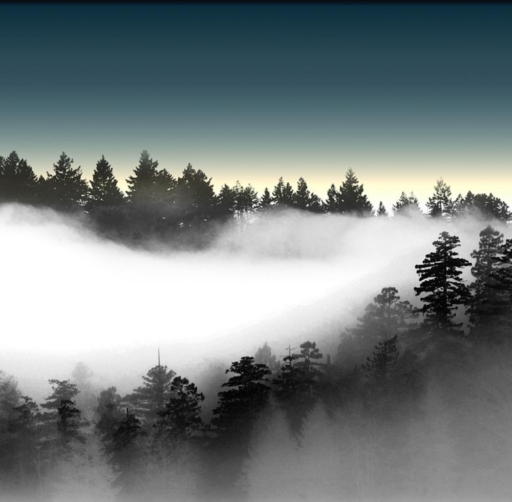 Pines Foggy Landscape Mountain Scene Dawn Misty Pines Foggy Landscape Mountain Scene Dawn Misty