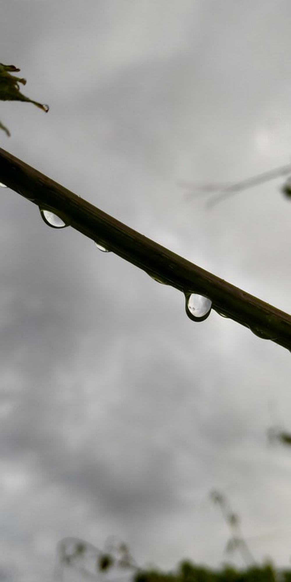 Rain Drop Montenegro Podgorica Rain Drop Montenegro Podgorica