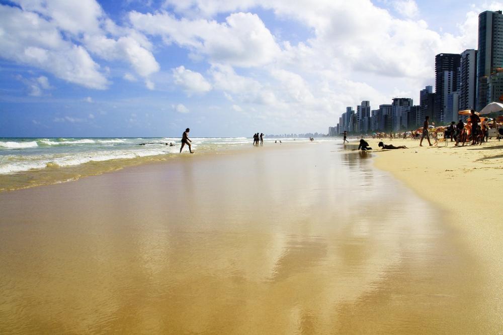 Recife Beach Praia Nature Recife Beach Praia Nature
