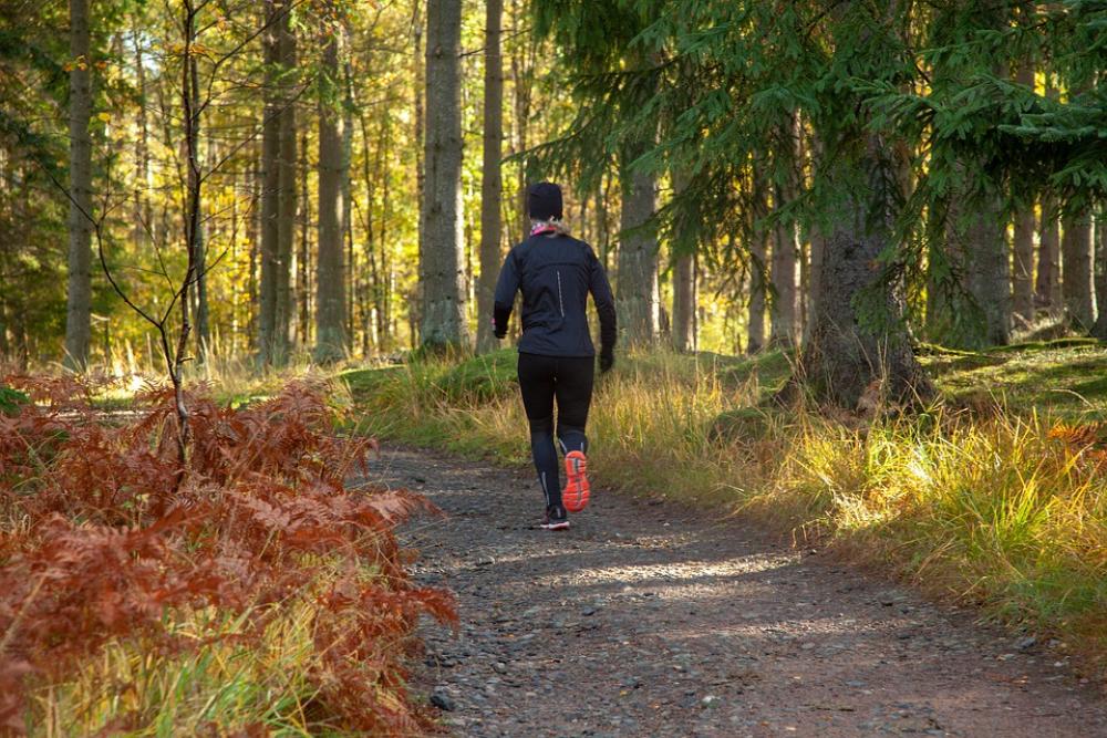 Run Jog Forest Man Run Jog Forest Man