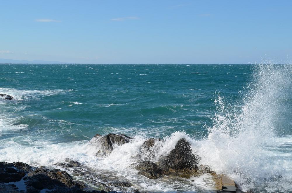 Sea Beach Collioure Holiday Sun Ocean Travel Sea Beach Collioure Holiday Sun Ocean Travel