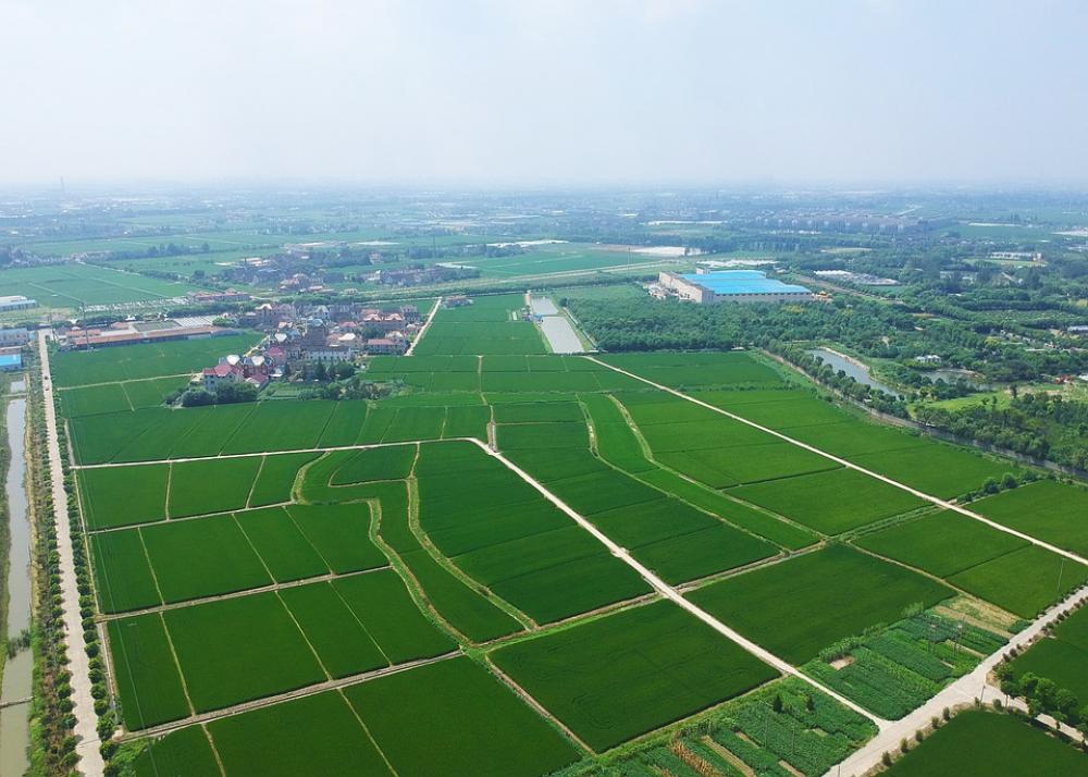 Shanghai Jiading Huating Waterfront Countryside Shanghai Jiading Huating Waterfront Countryside