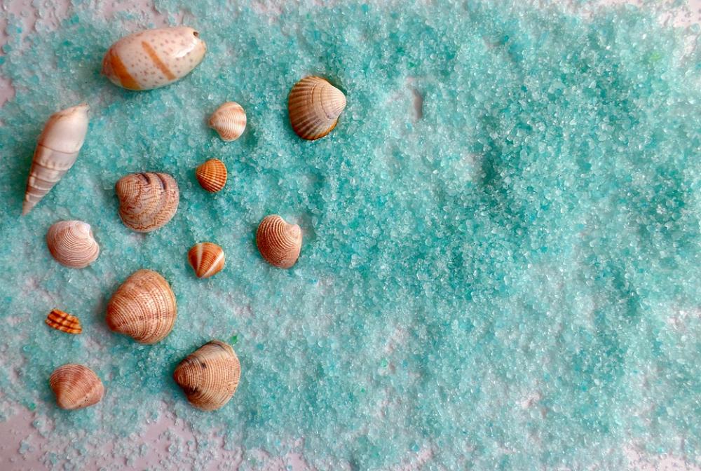 Shell Sea Beach Ocean Vacations Sand Summer Shell Sea Beach Ocean Vacations Sand Summer