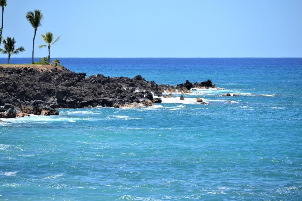 Shoreline Sea Ocean Water Shore Coast Coastline Shoreline Sea Ocean Water Shore Coast Coastline