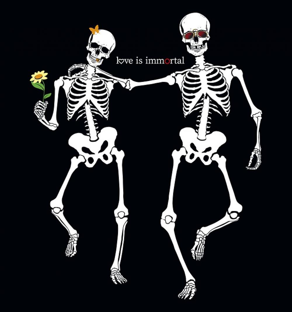 Skull Skeleton Bone Stroll Man Love People Skull Skeleton Bone Stroll Man Love People