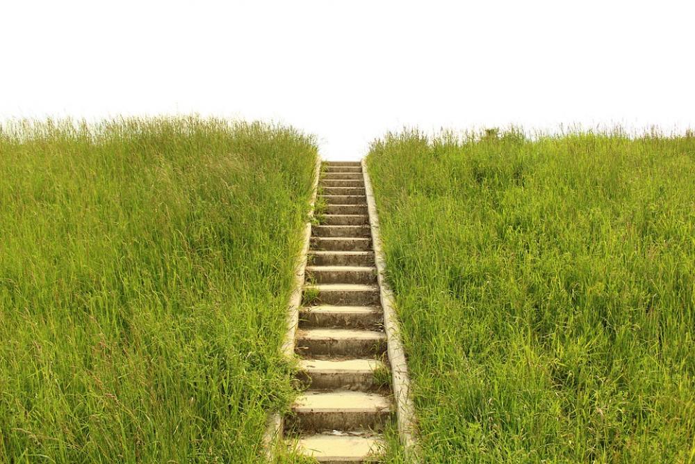 Stairs Grass Gradually Stage Stairs Grass Gradually Stage