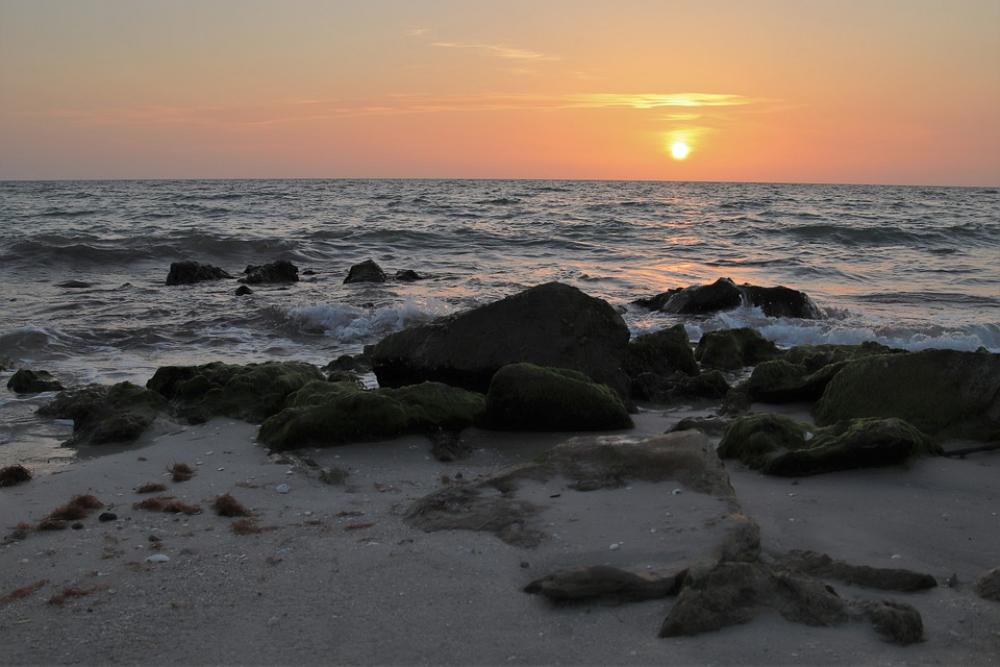 Sunset Naples Beach Nature Water Summer Sky Sea Sunset Naples Beach Nature Water Summer Sky Sea