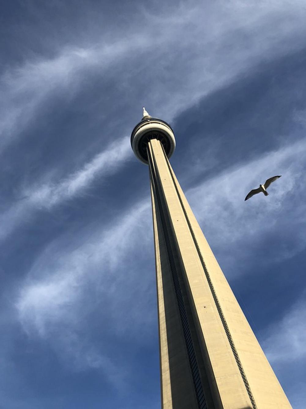 The Cn Tower Tower Cn Toronto Canada Ontario The Cn Tower Tower Cn Toronto Canada Ontario