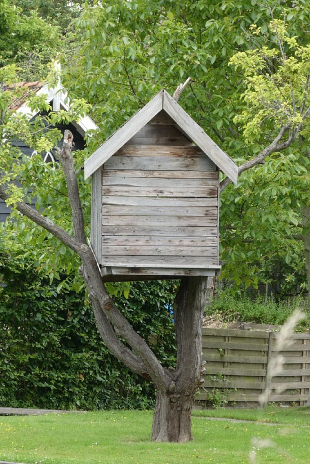 Tree Hut Wood Planking Youth Child Adventure Tree Hut Wood Planking Youth Child Adventure