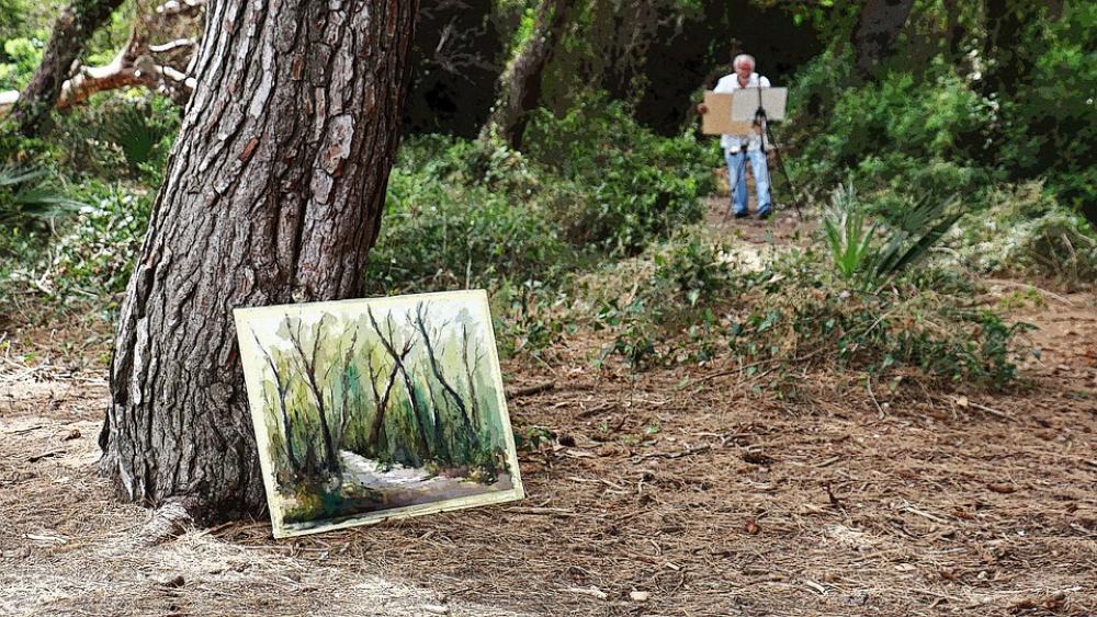 Valencia Albufera Saler Nature Painter Valencia Albufera Saler Nature Painter