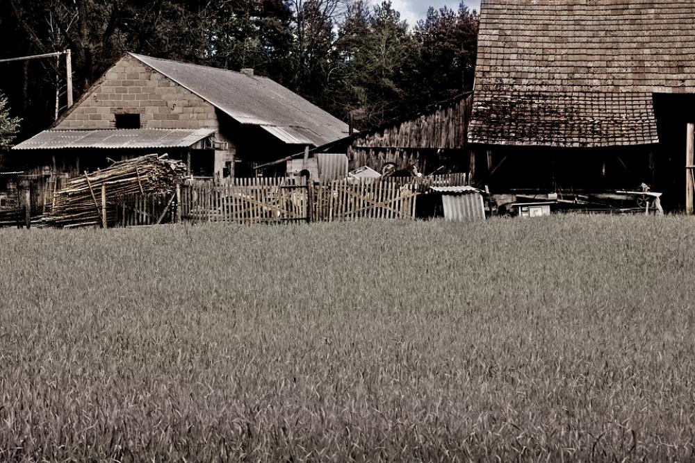 Village Farm The Cultivation Of Agriculture Village Farm The Cultivation Of Agriculture