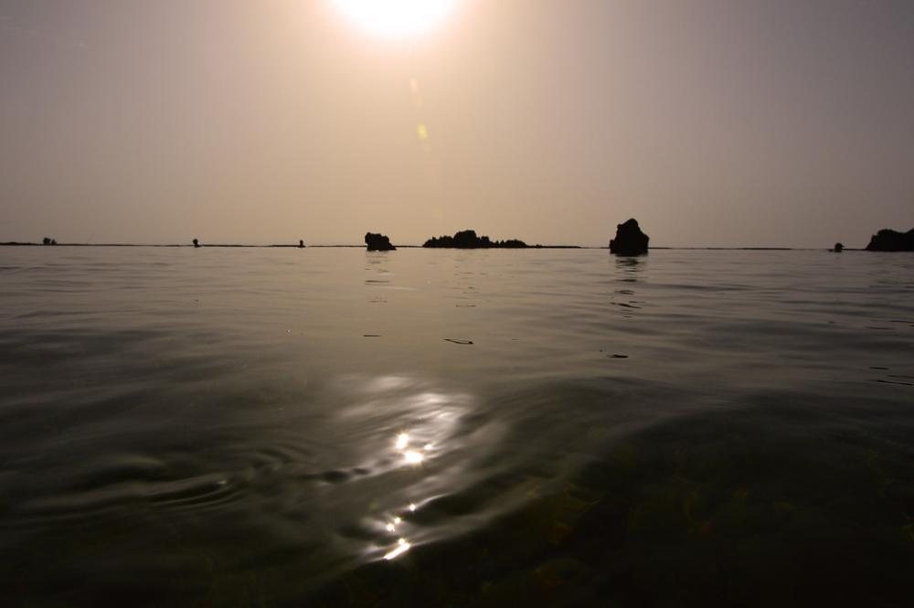 Wave Wave Motion Water Water Movement Vibrations Wave Wave Motion Water Water Movement Vibrations