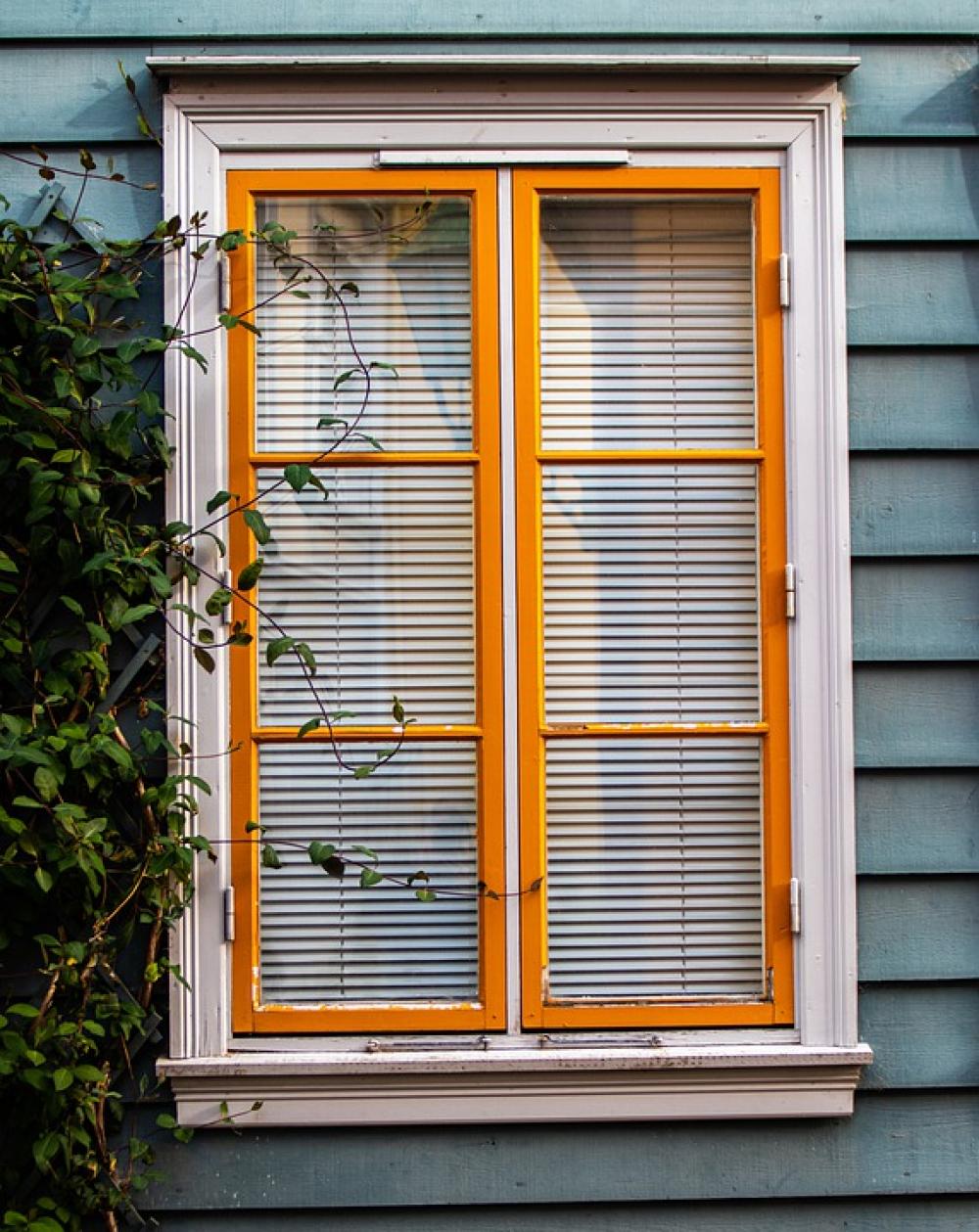 Window House Plant Color Norway Window House Plant Color Norway