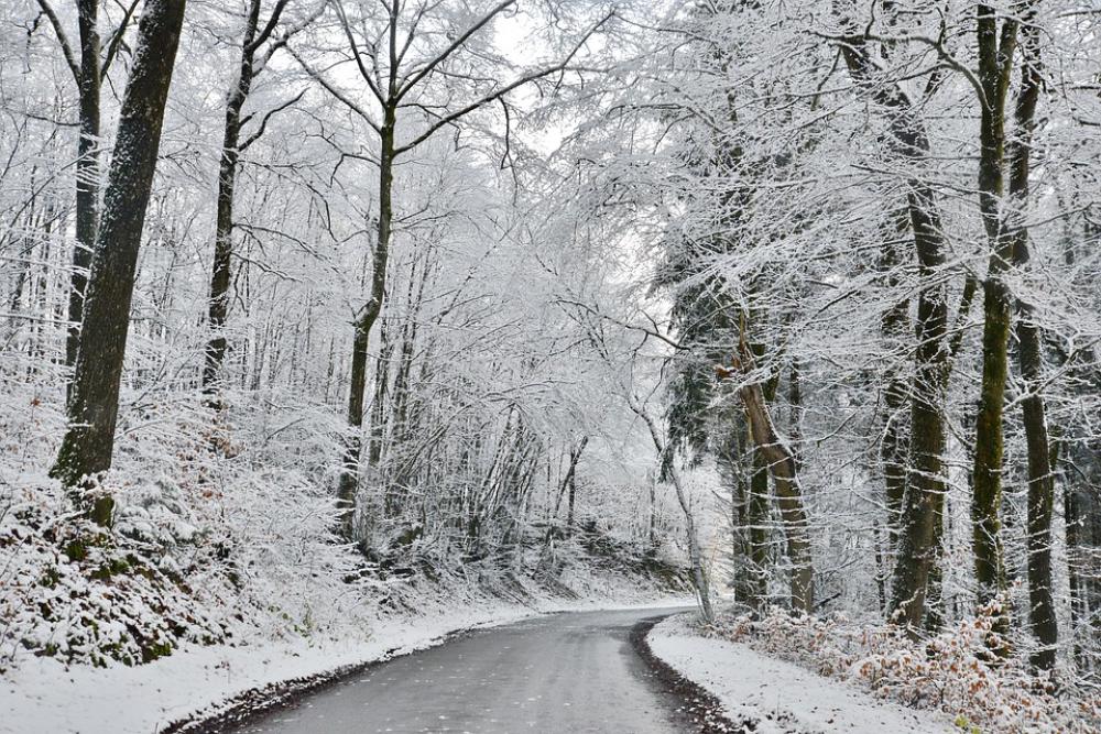 Winter Snow Cold Nature Forest Snow Landscape Winter Snow Cold Nature Forest Snow Landscape