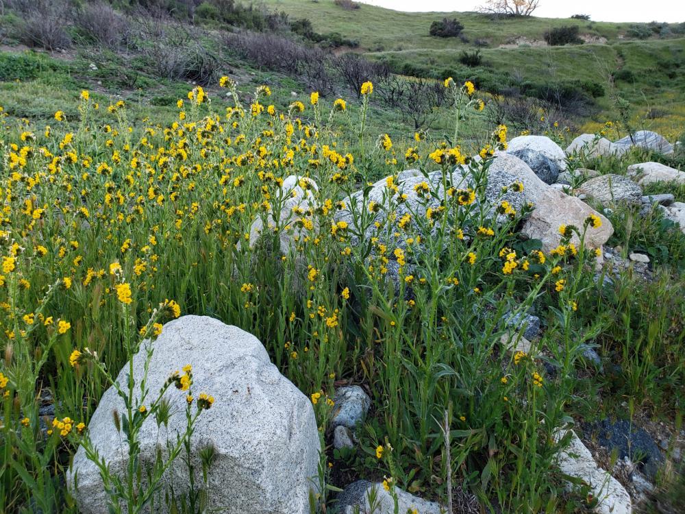 Southern California Scenic Southern California Scenic