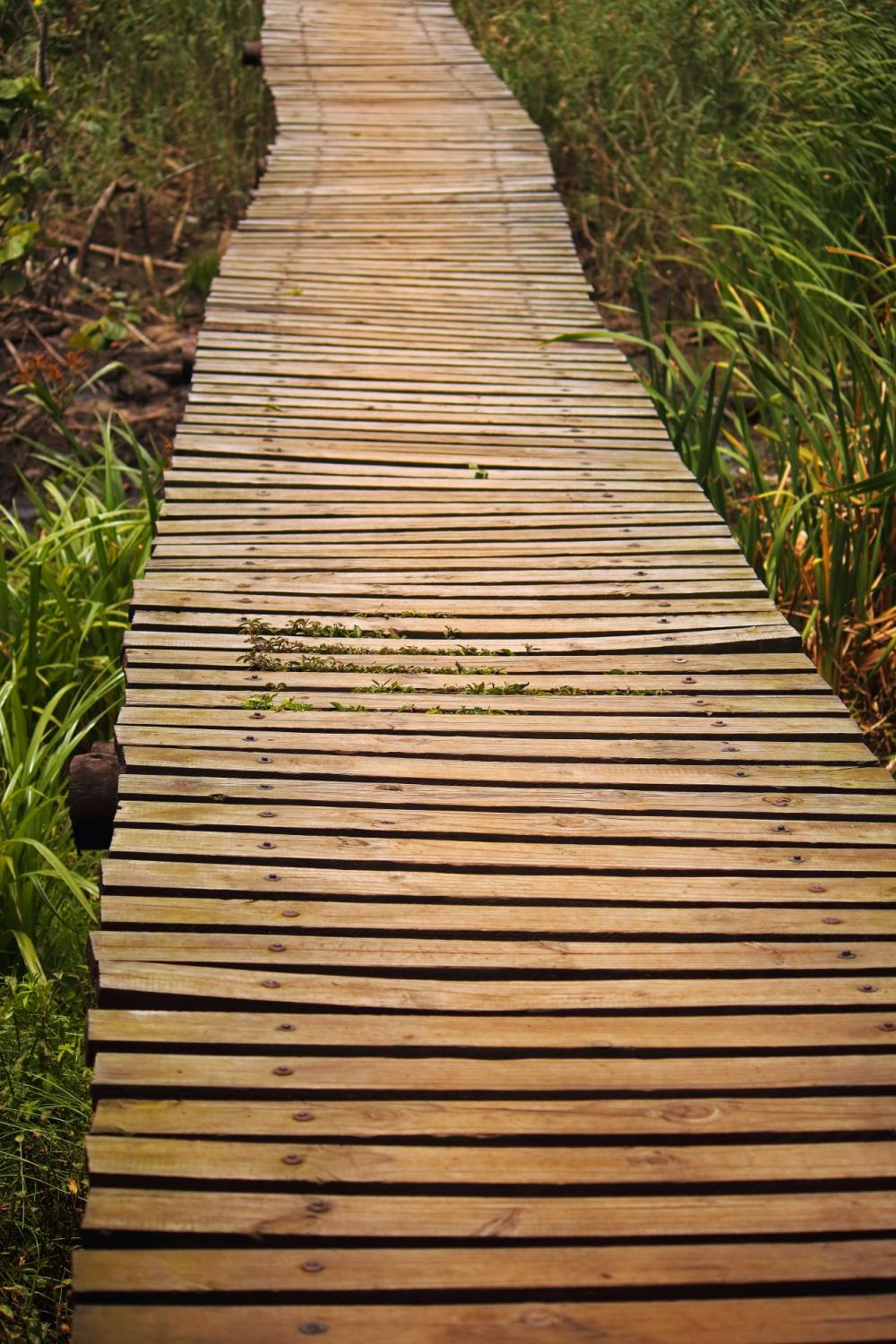 Wooden Walkway Across Wetland Wooden Walkway Across Wetland