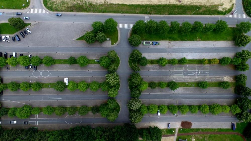 aerial view green trees plant aerial view green trees plant