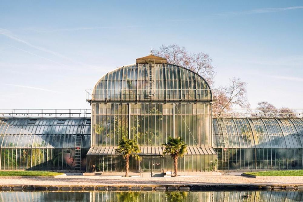 greenhouse plants nature sunshine blue greenhouse plants nature sunshine blue