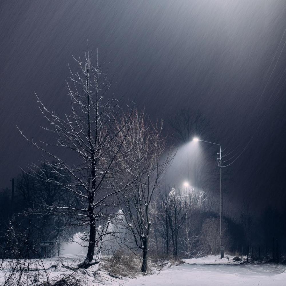 snow dark night trees lights snow dark night trees lights