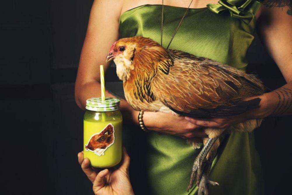 people woman gown bird chicken people woman gown bird chicken