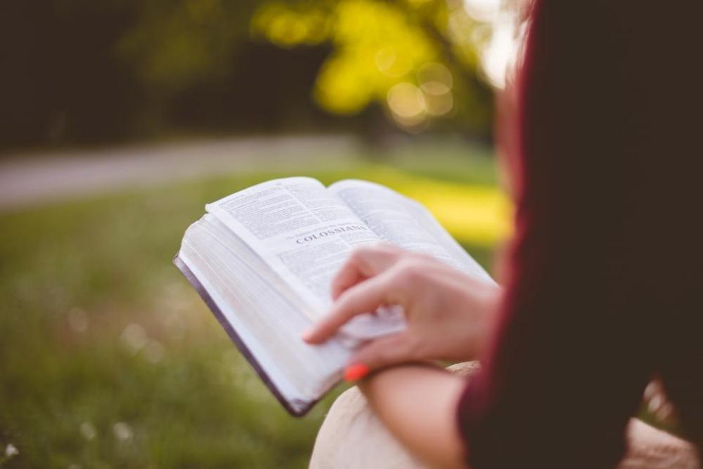 people girl sitting reading book people girl sitting reading book