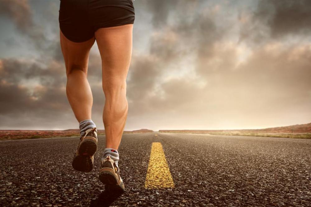 people running shoes jogging legs people running shoes jogging legs