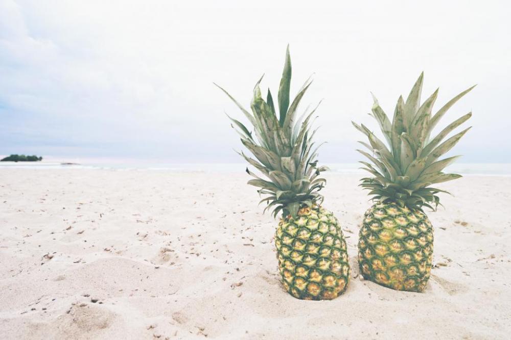 pineapple dessert appetizer fruit juice pineapple dessert appetizer fruit juice